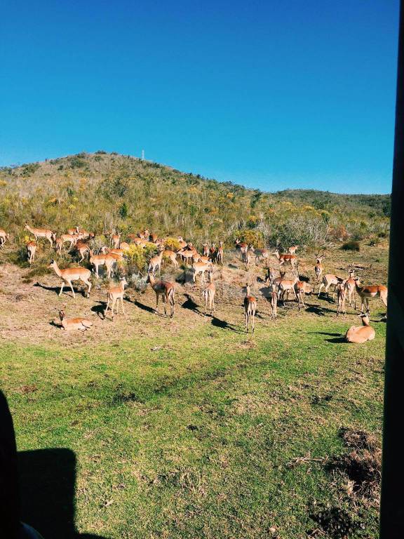 Sud Africa, viaggio di Matilde Mancuso