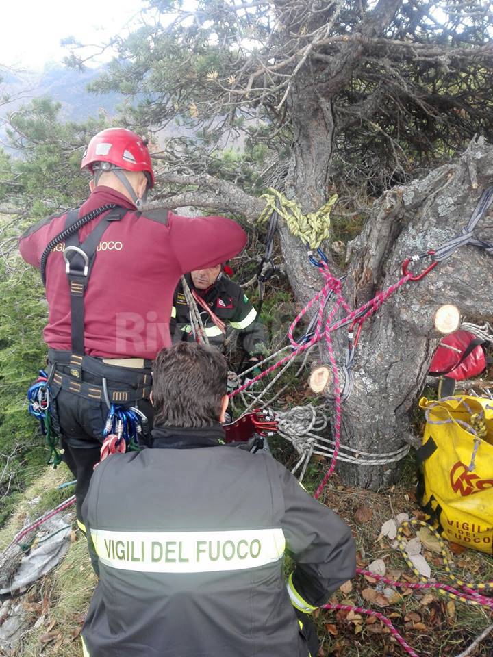 riviera24 - cane da caccia  vigili del fuoco