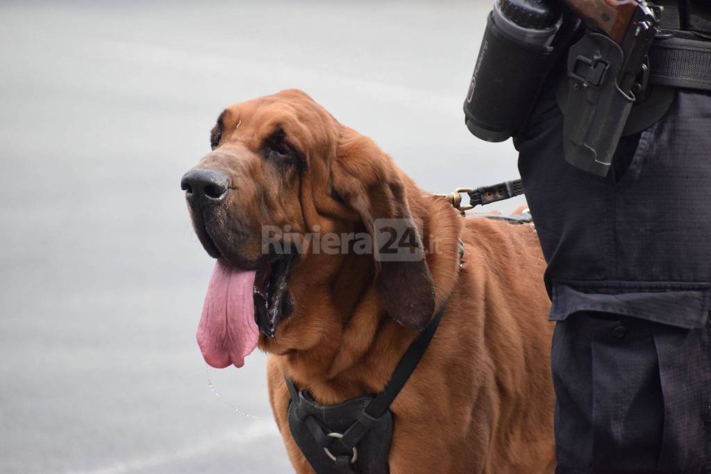 riviera24 - cane molecolare carabinieri gringo