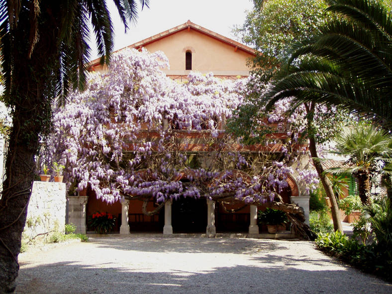 riviera24 - Museo Clarence Bicknell di Bordighera 