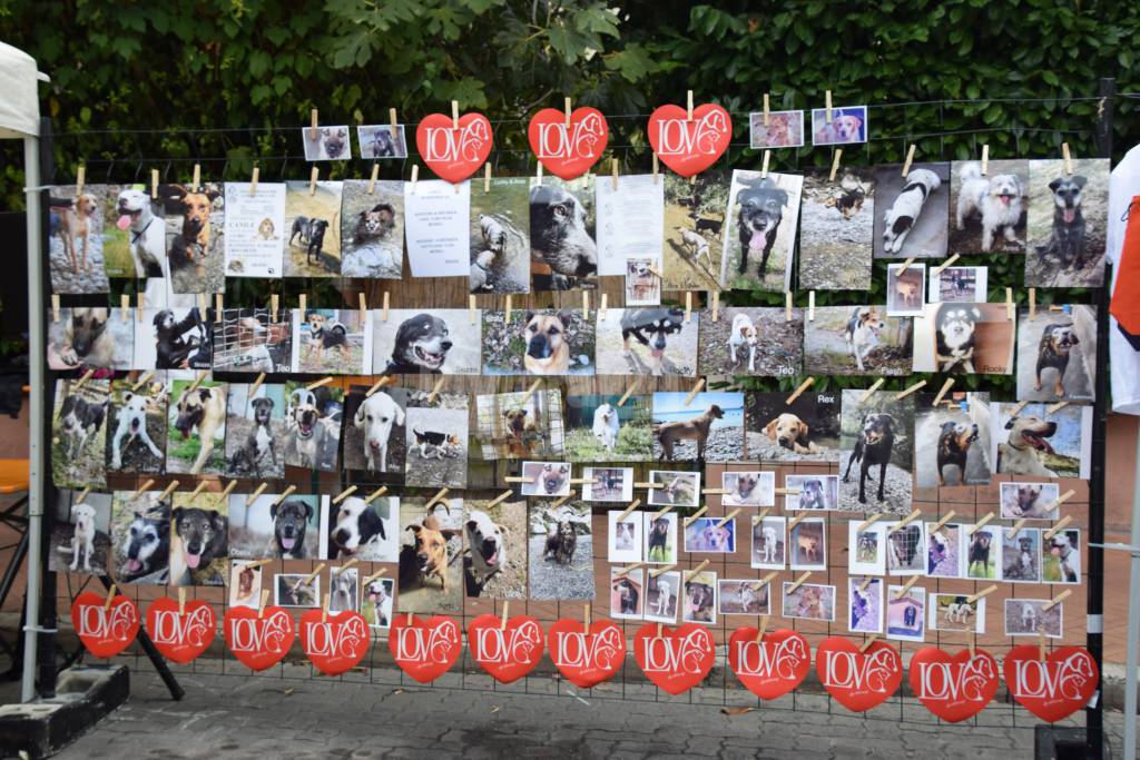 Bordighera Book Festival 2018