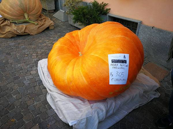 "Fiera della zucca delle meraviglie" di Piea