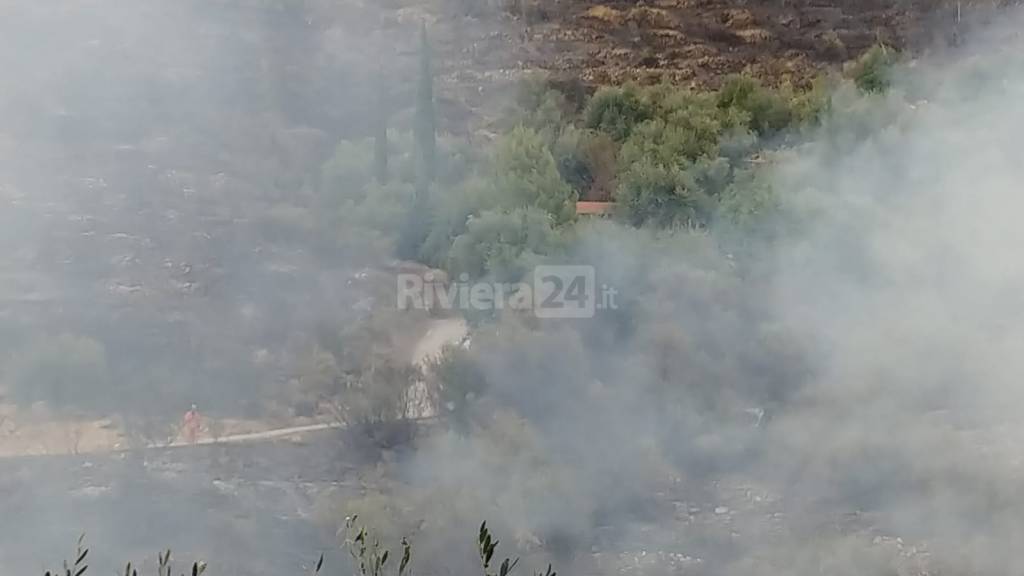 riviera24 - Imperia, incendio a Costa D’Oneglia