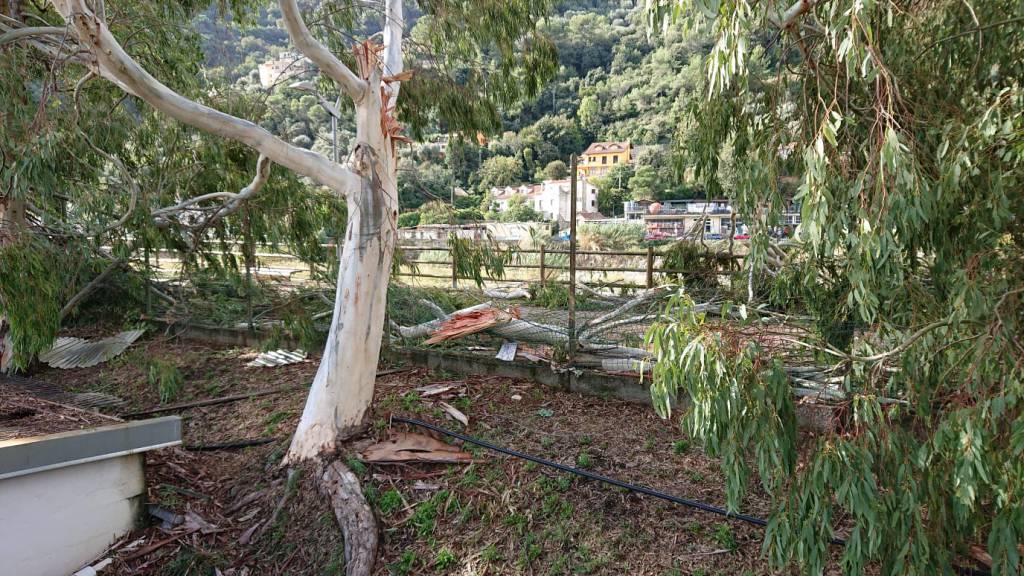riviera24 - Maltempo, danni alla struttura del Don Bosco Vallecrosia Intemelia