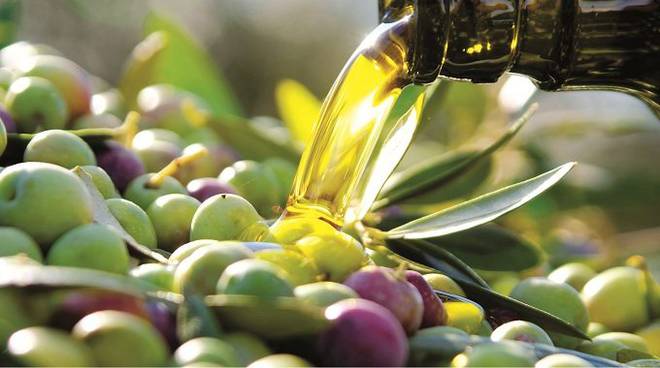 Il Consorzio di tutela dell’olio Dop Riviera Ligure lancia l’iniziativa “Oliveti Aperti”