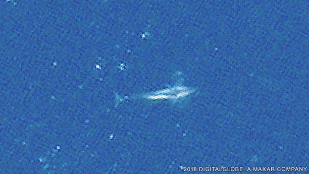 riviera24 - balene dal satellite