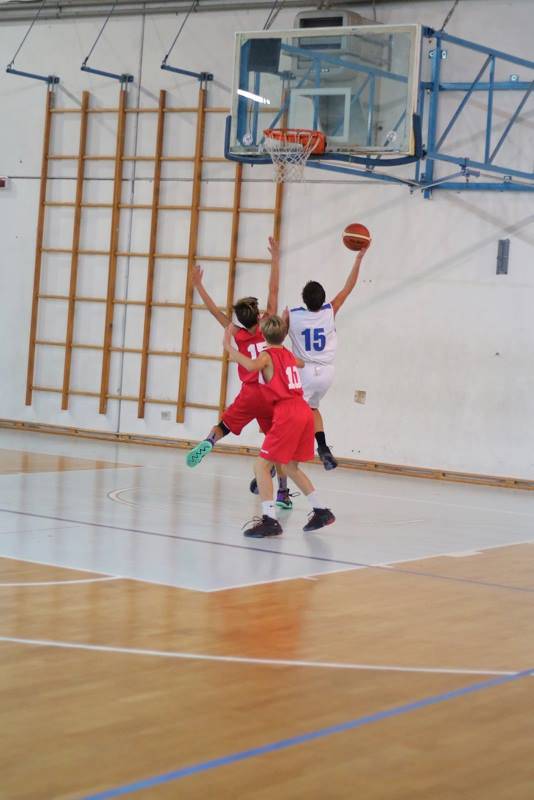 riviera24 - Olimpia Basket Sistel