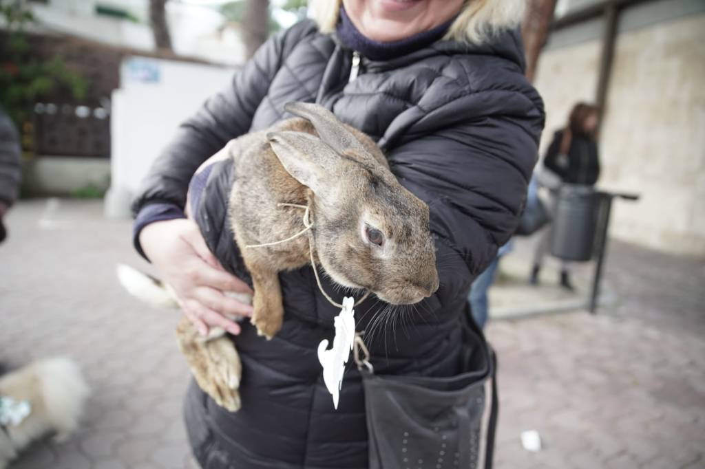 riviera24-La benedizione degli animali ad Ospedaletti