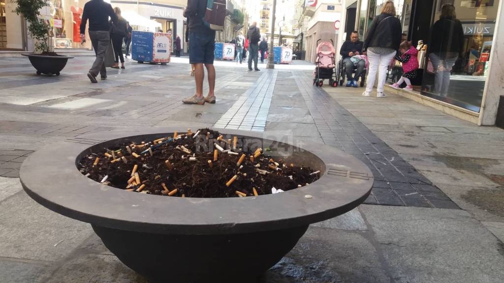 riviera24 - Cicche di sigarette in vaso di fiori