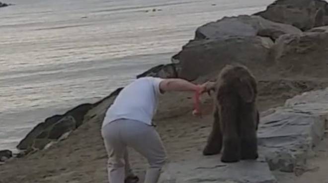 Diano Marina, proprietari di cani educati: al setaccio il centro nessuna infrazione rilevata dai vigili