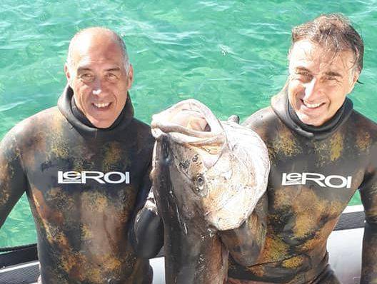 riviera24 - Gigantesca ricciola pescata da due apneisti sanremesi