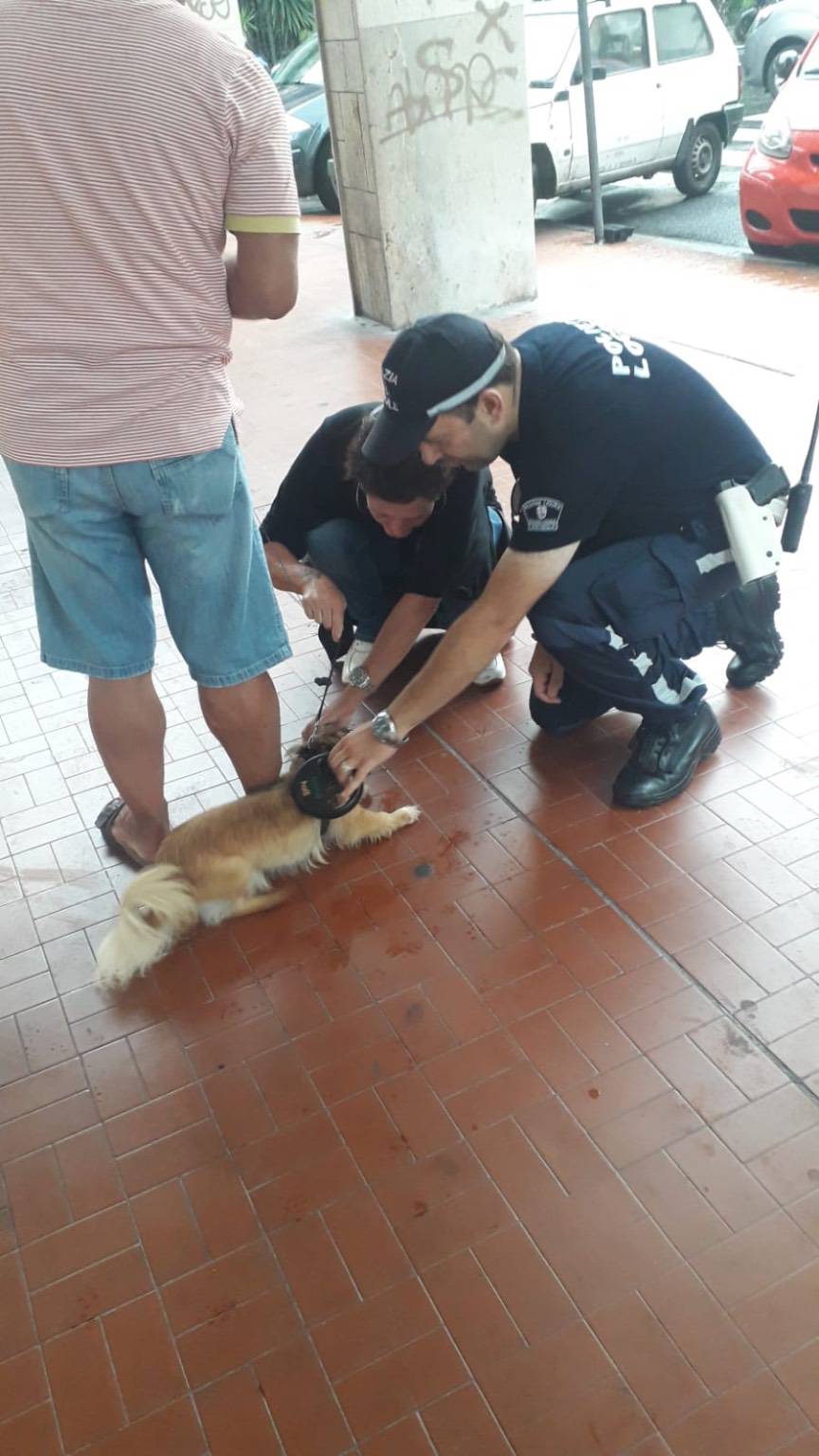 controlli polizia locale ventimiglia