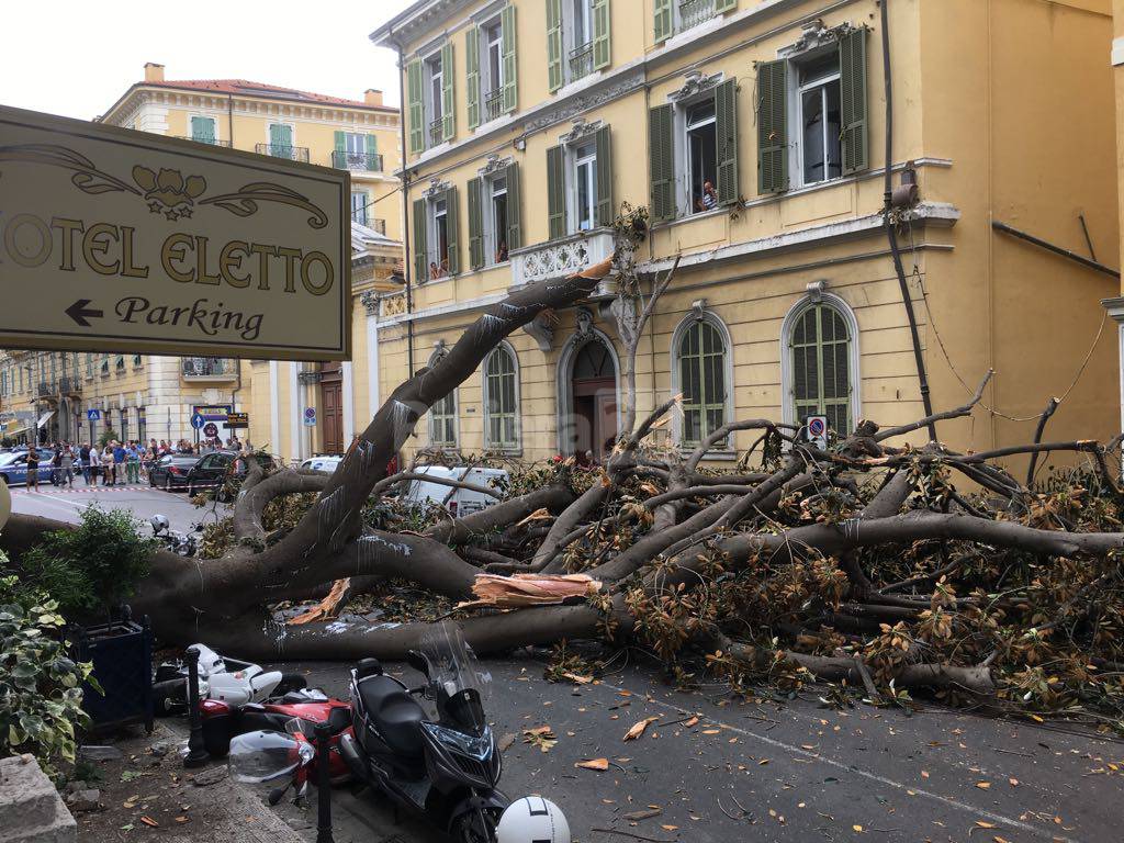 Cura del verde pubblico, interventi in tutta la provincia di Imperia