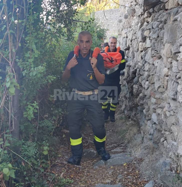 ricerca donna bordighera