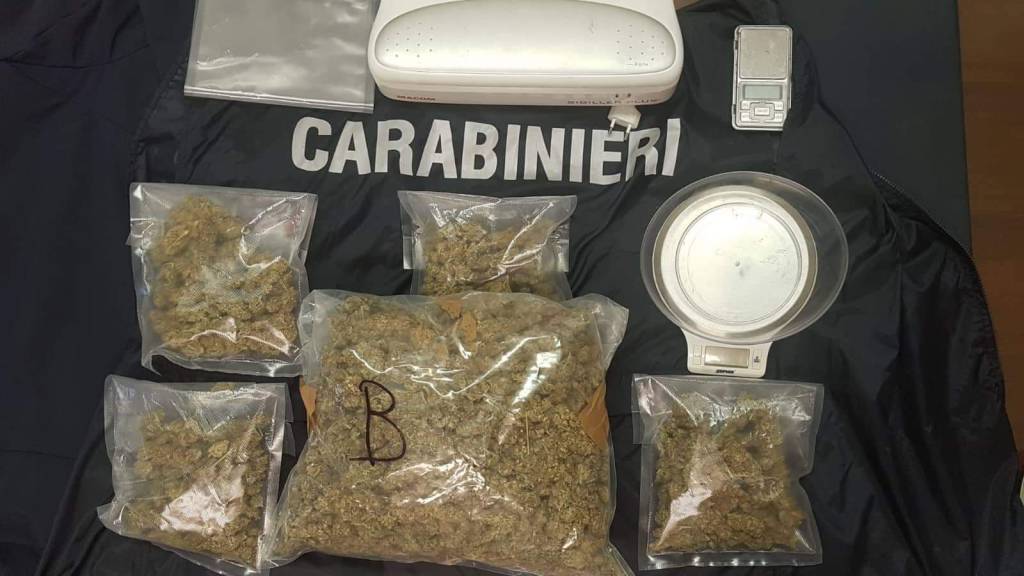 Riviera24 - marijuana carabinieri cannabis maria erba