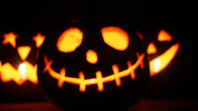 Covid, Coldiretti: «Halloween in casa con le zucche “Made in Liguria”»