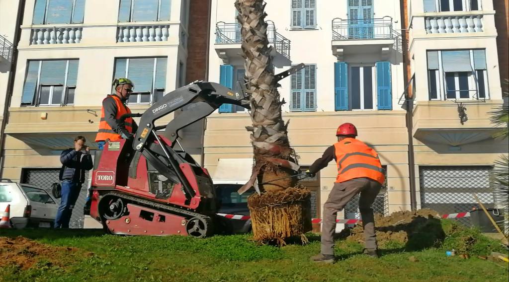 riviera24 - Giornata Nazionale degli Alberi