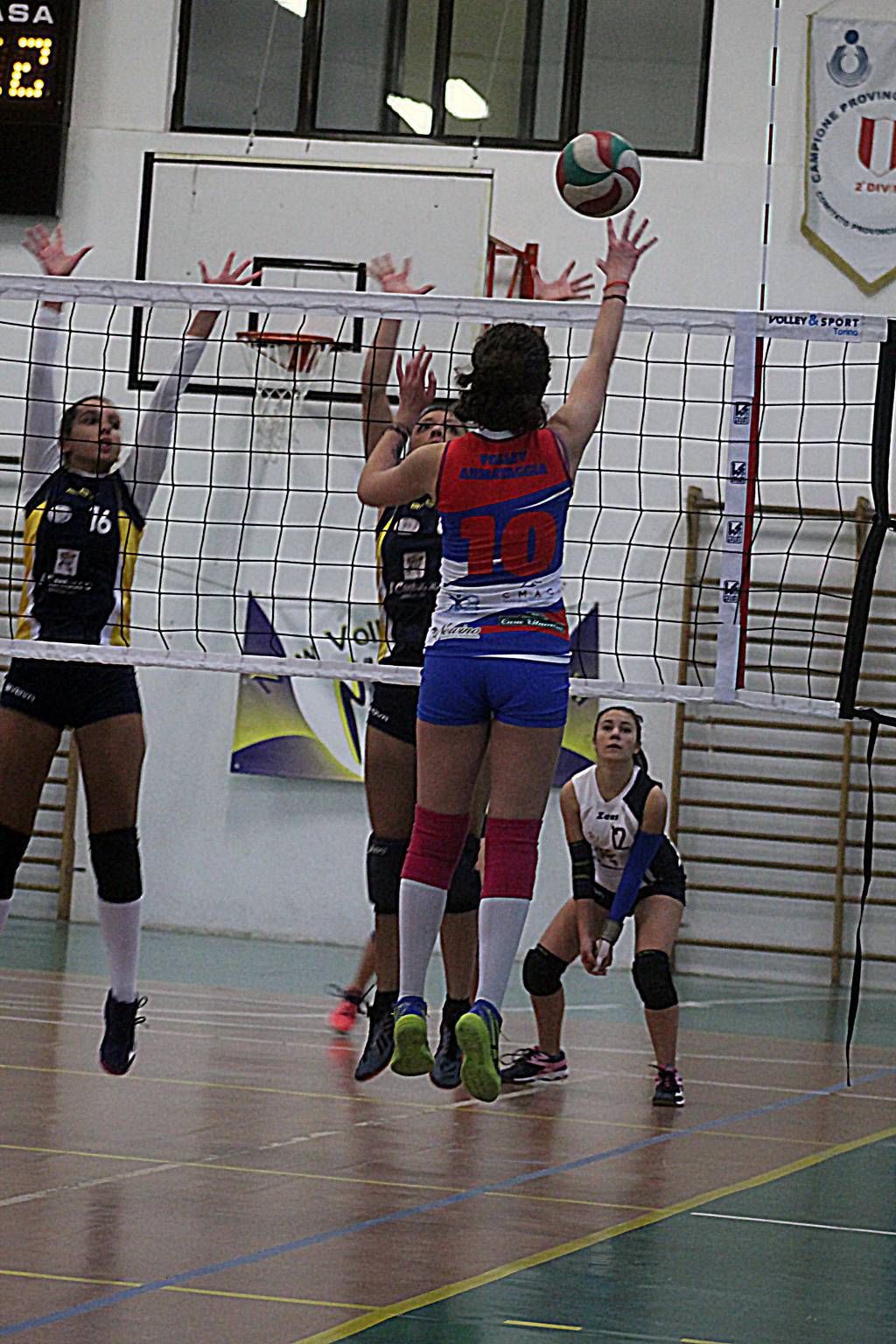 riviera24 - Volley Team Arma Taggia