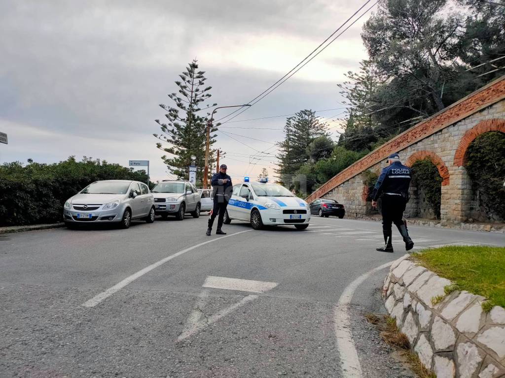 riviera24 - Bordighera, il vento sradica grosso pino marittimo