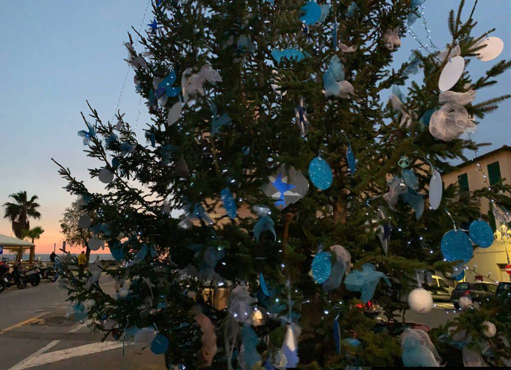 riviera24 -  Sestiere Marina addobba l’albero di Natale 