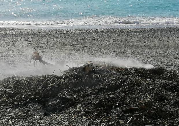 legna spiagge bordighera