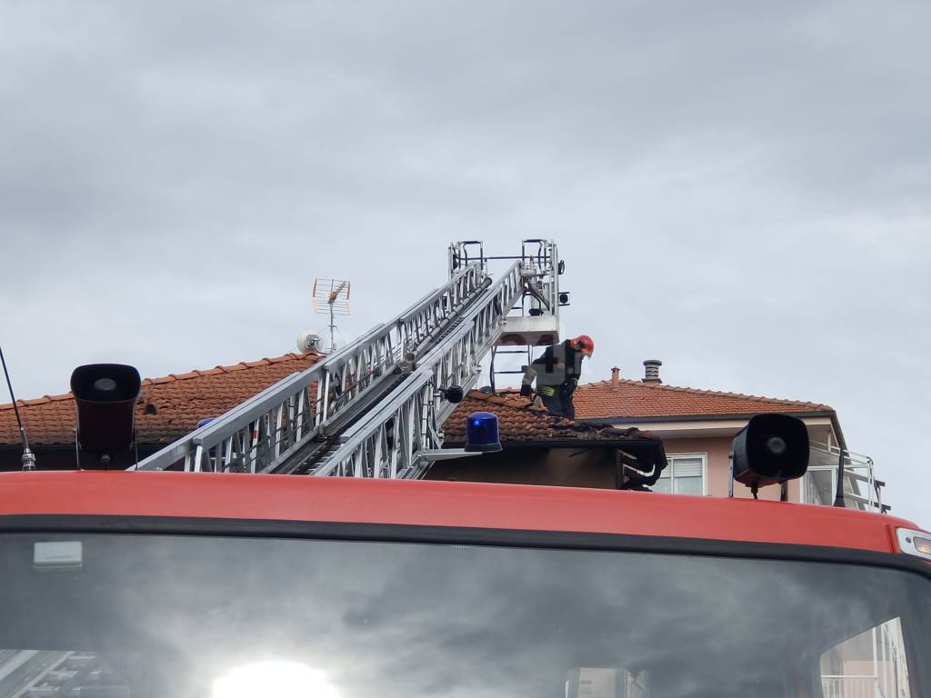 Riviera24- incendio San Bartolomeo
