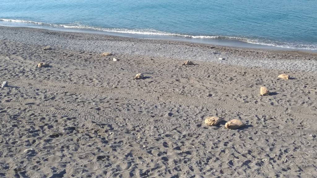 sacchi iuta spiagge ventimiglia