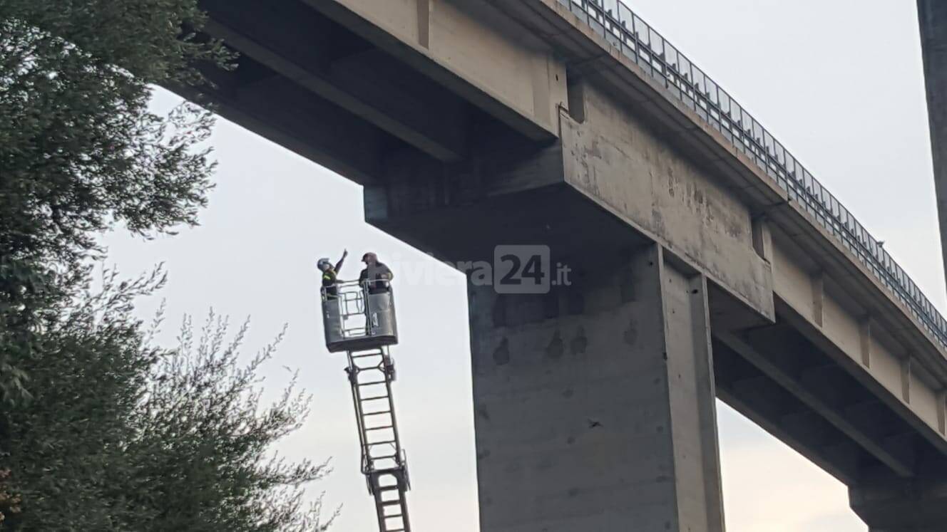 caduta calcinacci viadotto A10