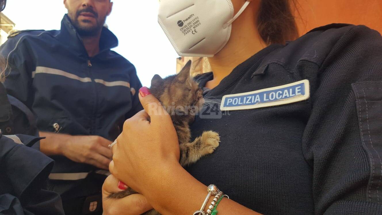 Imperia, gatto incastrato nel motore di un'auto salvato dai vigili urbani