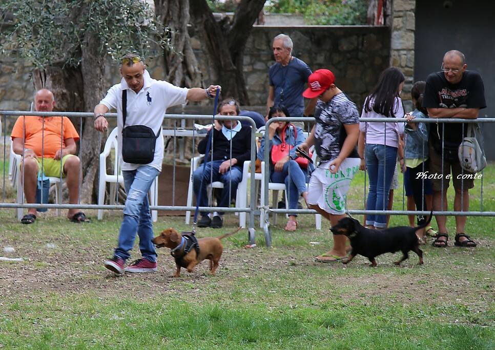 Bordighera Dog Show