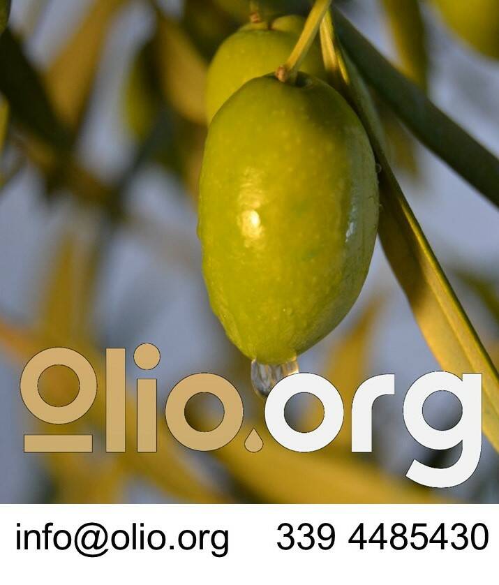 Olio.org