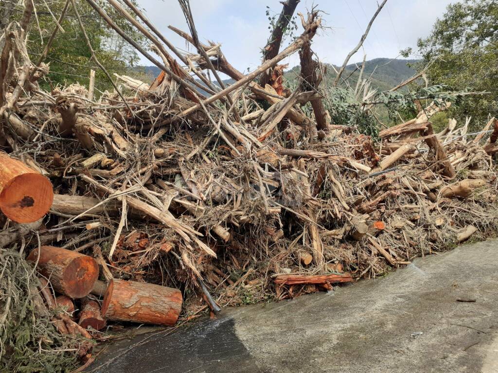 riviera24 - Ceriana, alluvione in località Bellando