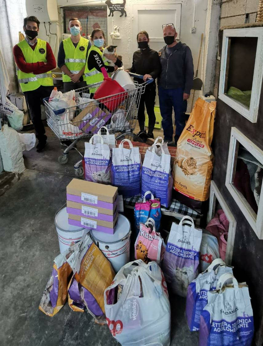 riviera24 - Donazione gattile Ventimiglia