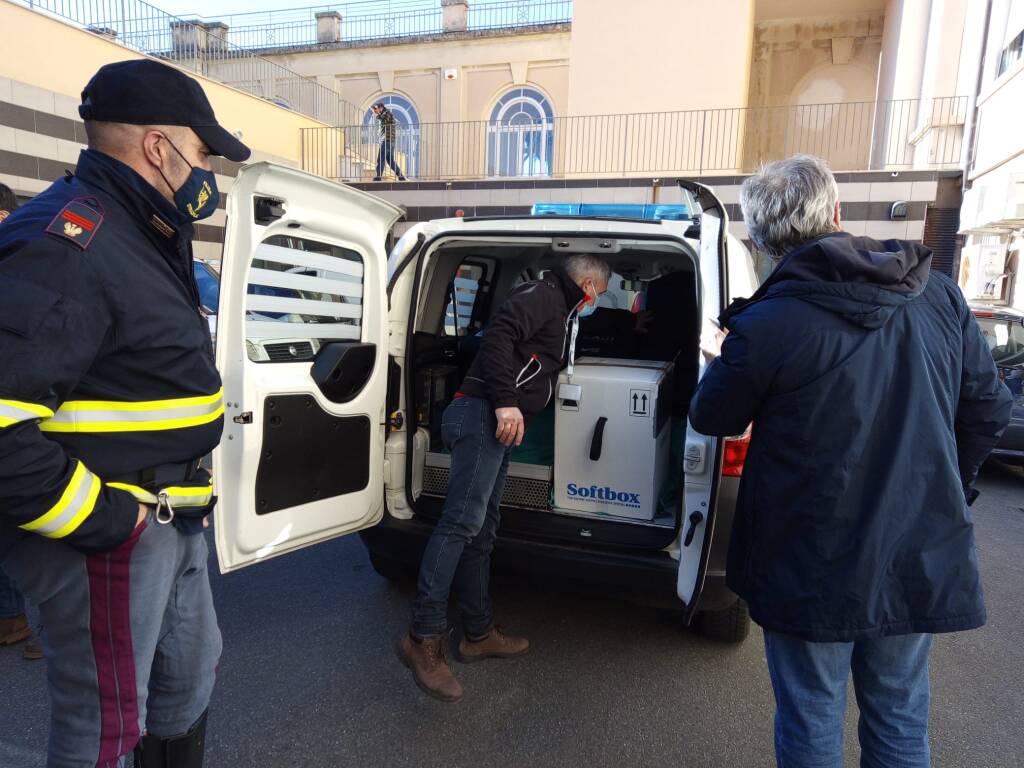 vaccino covid ospedale borea