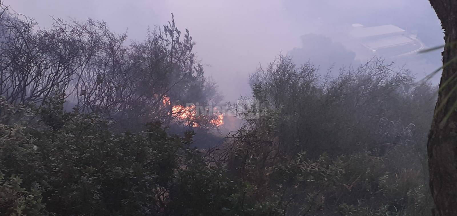 incendio boschivo sanremo