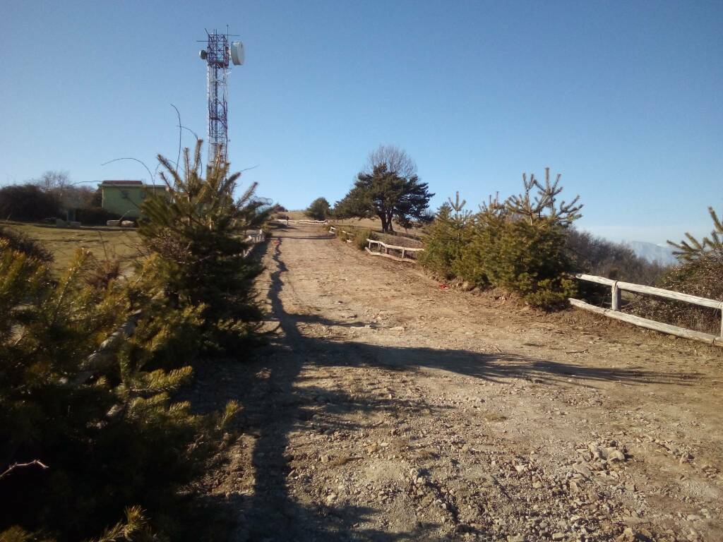 Sanremo, manutenzione dell’ambiente: iniziati gli interventi nell’area di Monte Bignone