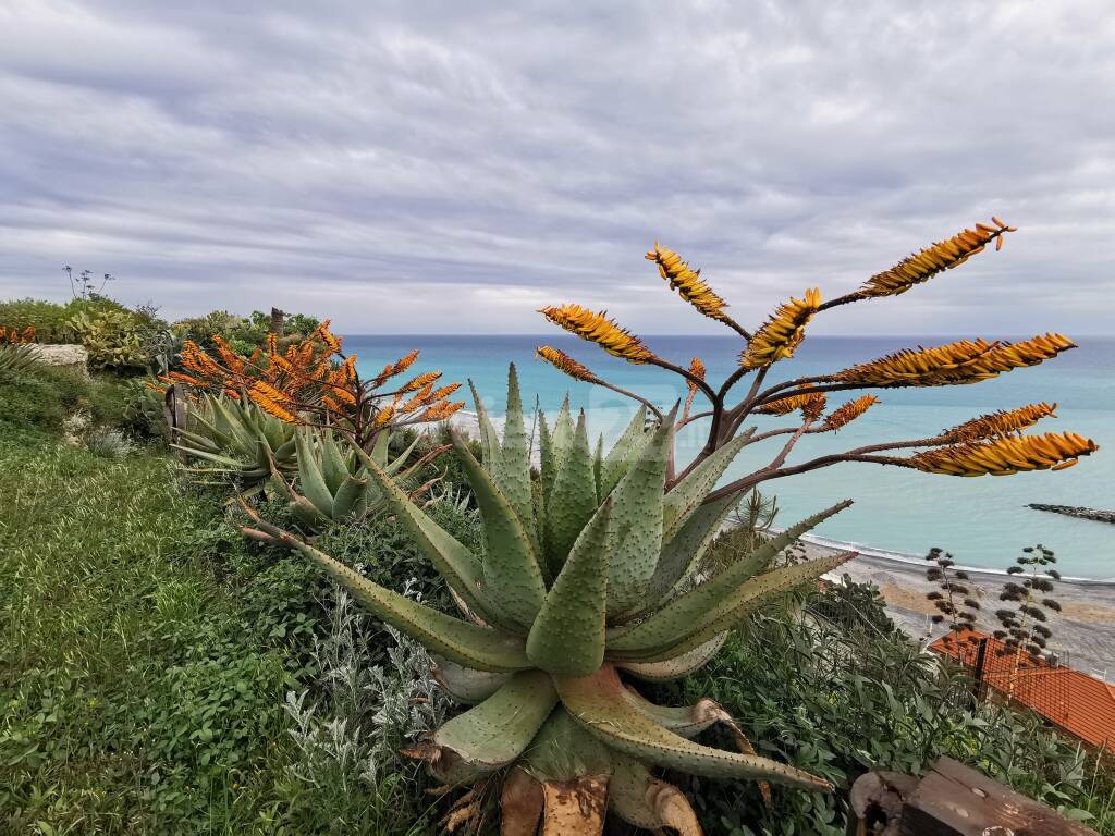 giardino suore ventimiglia