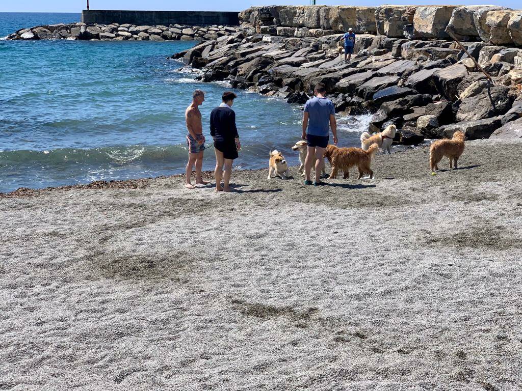 Riaperta la spiaggia per cani a San Bartolomeo al Mare foto