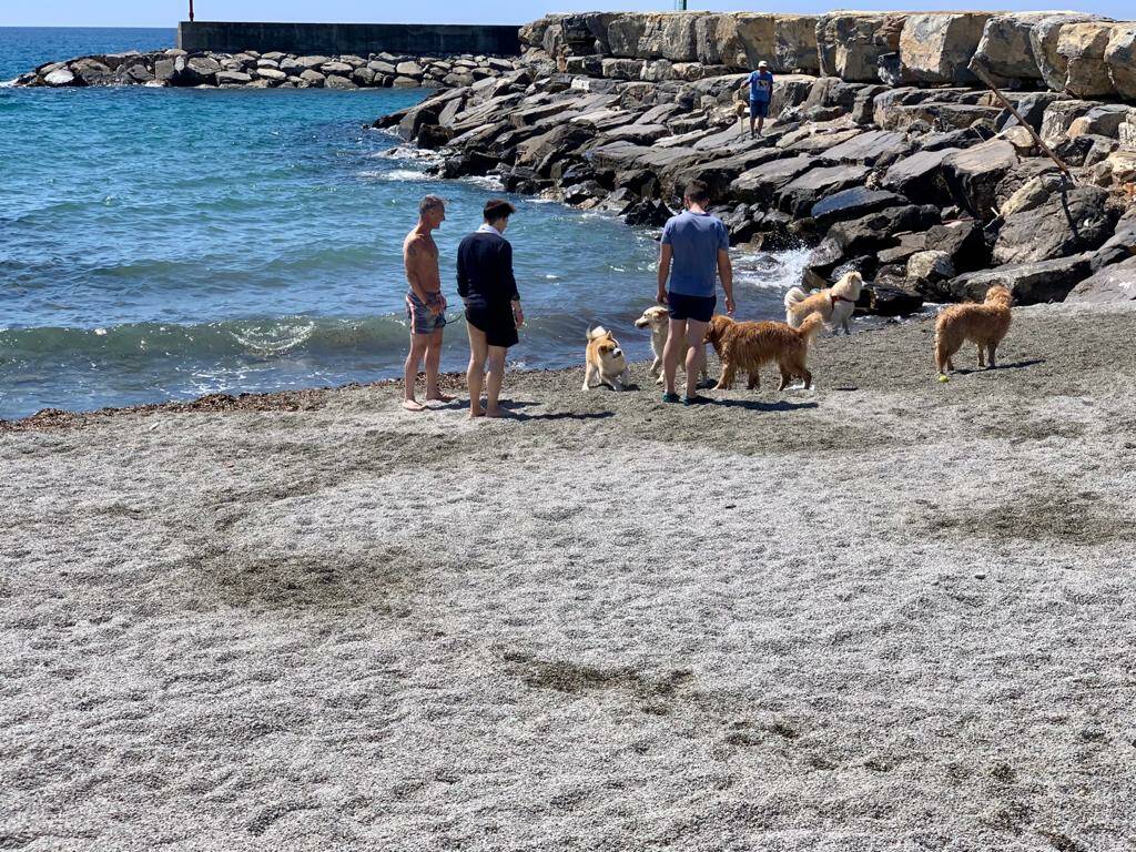 Riviera24- spiaggia cani san bartolomeo