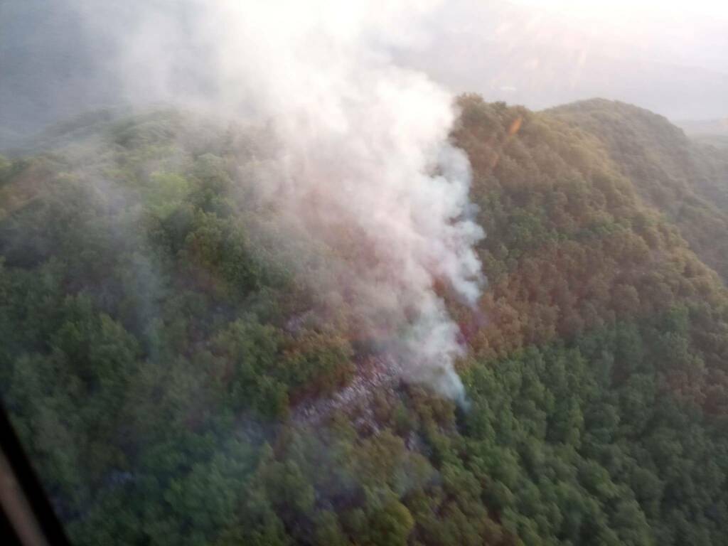 riviera24 - incendio boschivo dolcedo