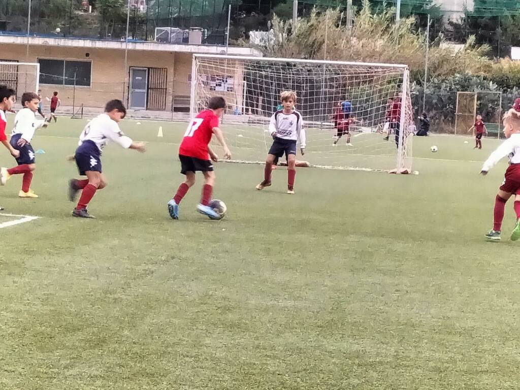 Polisportiva Vallecrosia Academy 2013