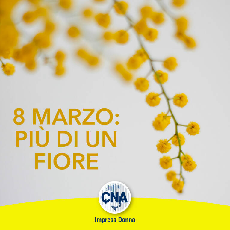 CNA Impresa donna