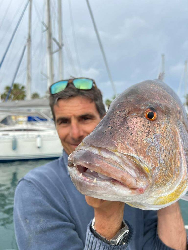 dentice pescato a imperia 