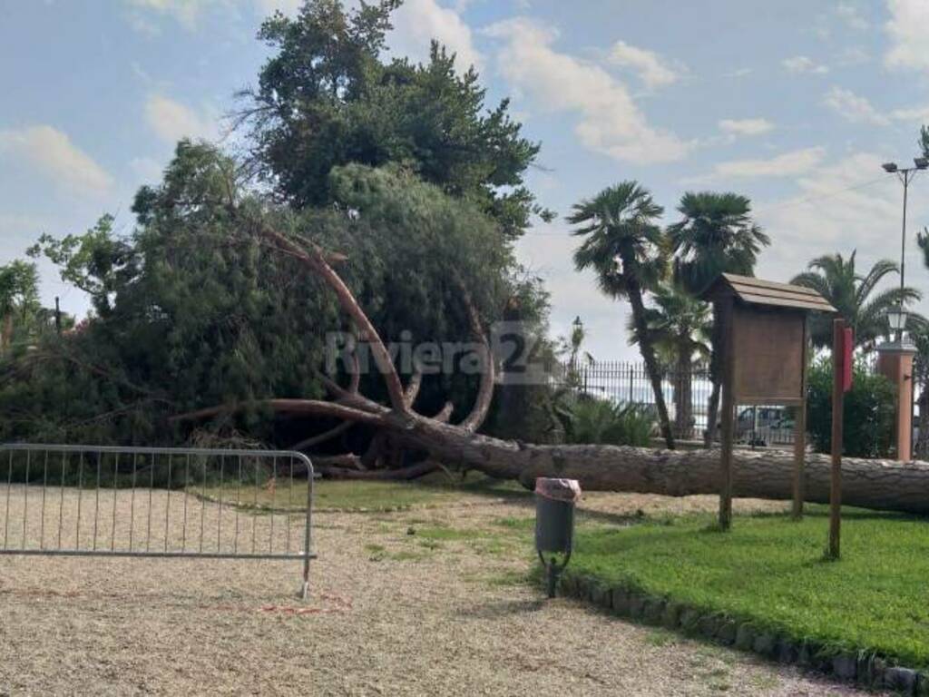 pino giardini reggio ventimiglia