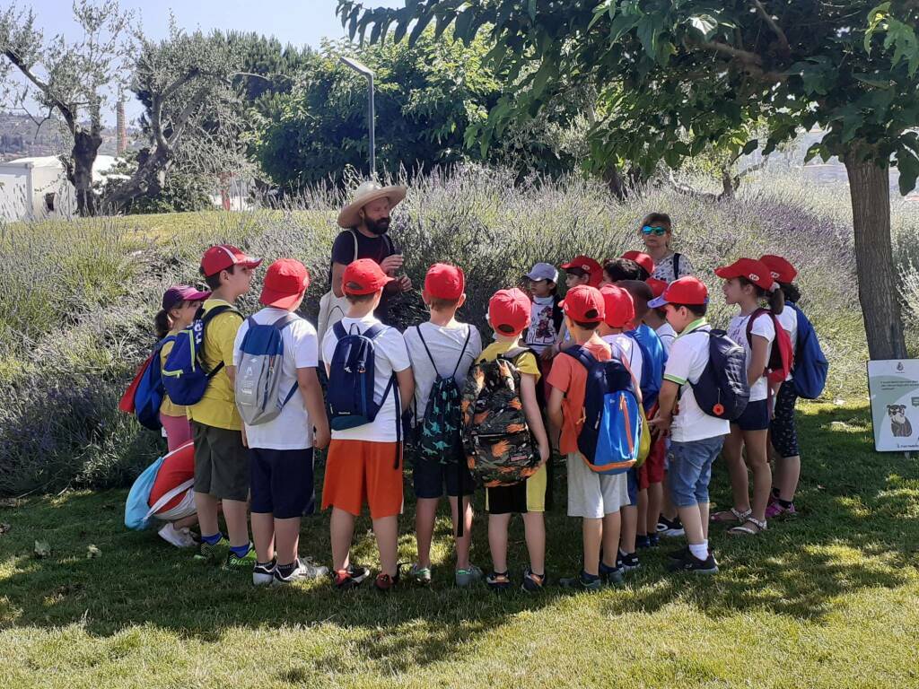 Scuola primaria di Pontedassio