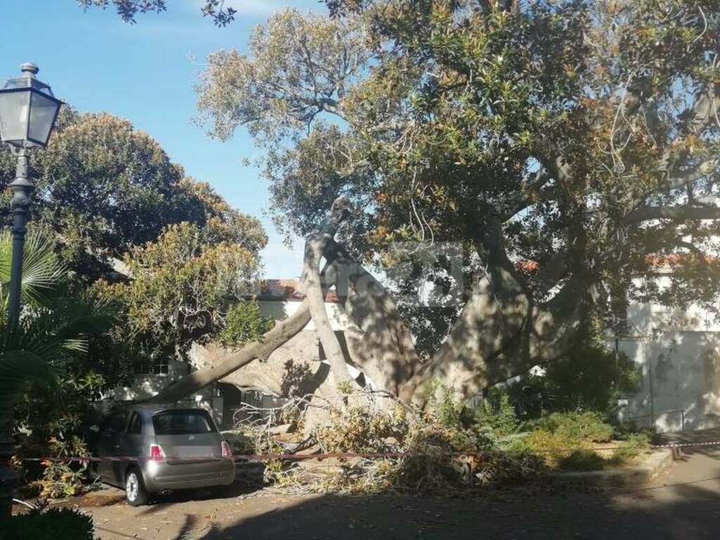 Bordighera ramo scibretta crollato 