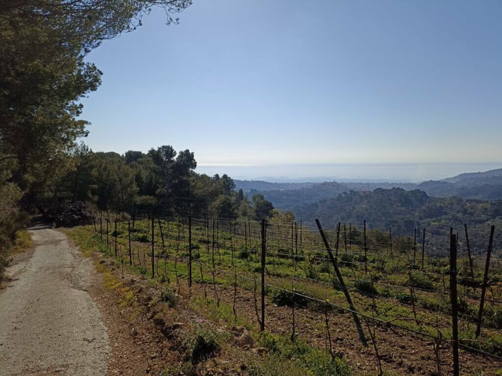 L’estate di Diano Arentino tra benessere, natura e cultura