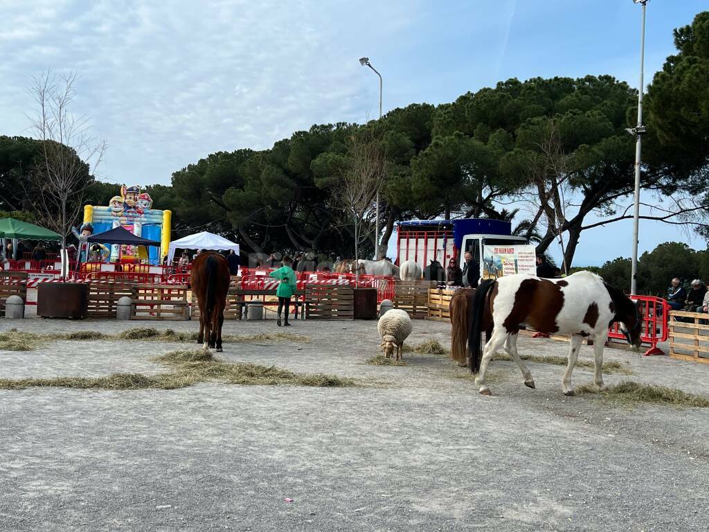 fiera anime bordighera