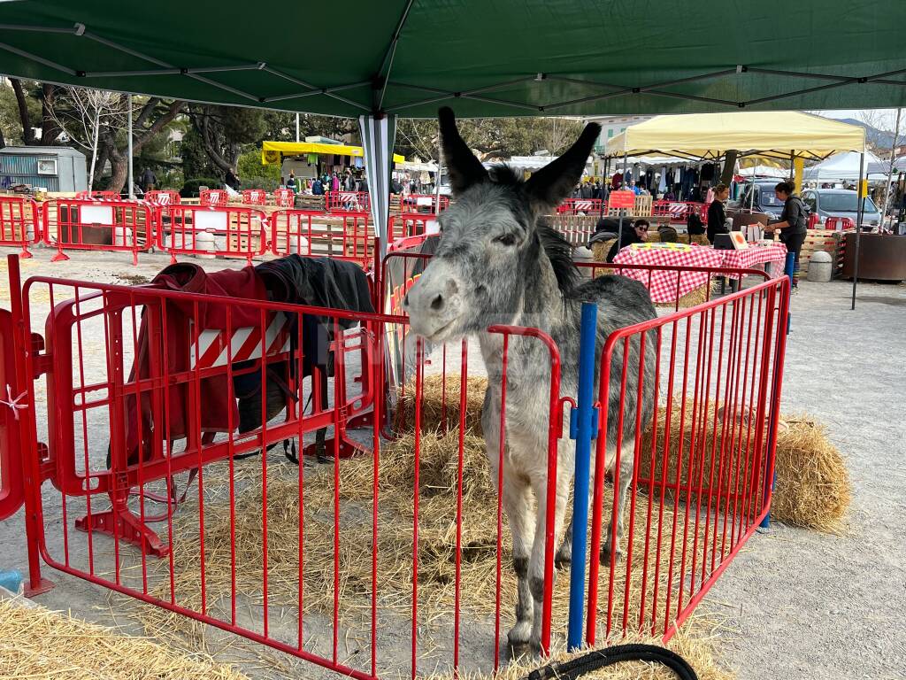 fiera anime bordighera