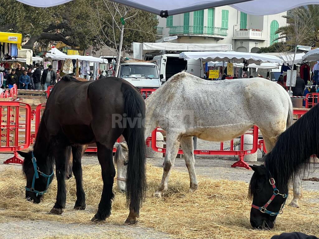 fiera anime bordighera